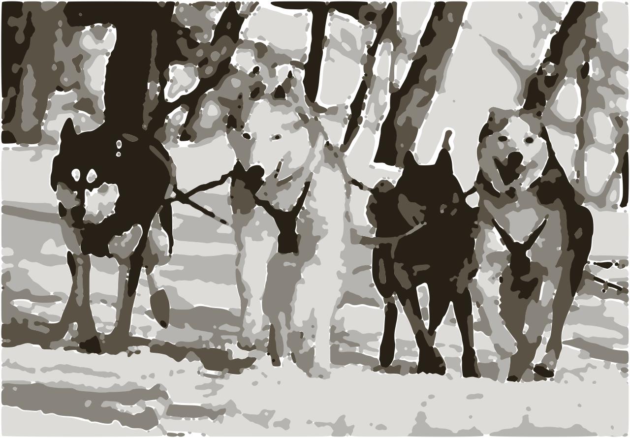 from CC0 photo AI Art