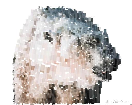 from CC0 photo AI art