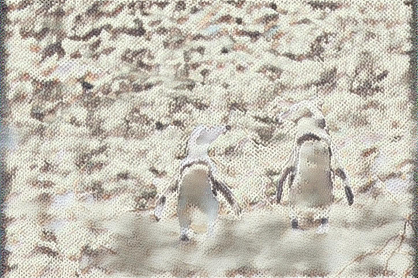 from CC0 photo AI Art