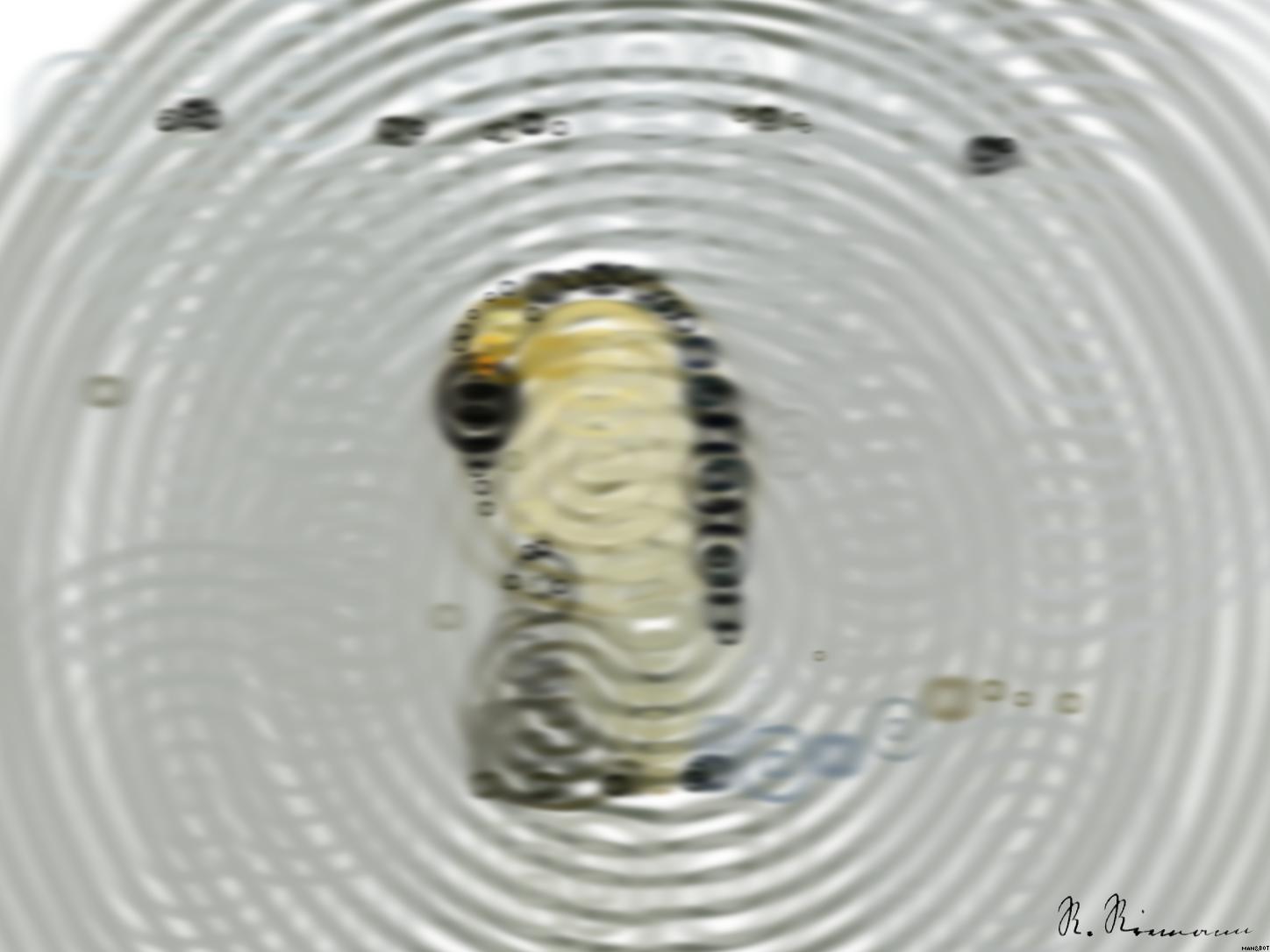 from CC0 photo AI Art