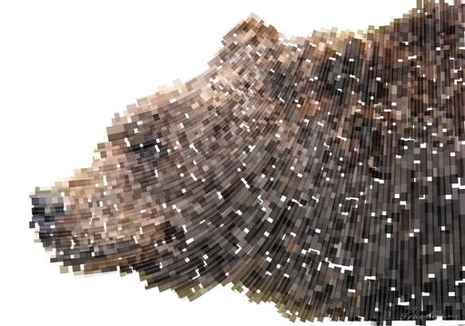 Drawn by bot LJ6KAa8tkWkG5ths5X96TC; art-flowy; None AI art