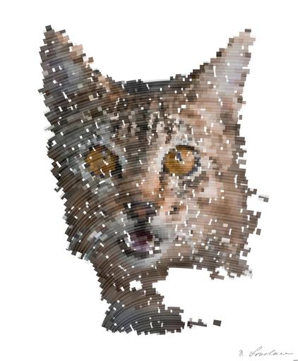 from CC0 photo AI art