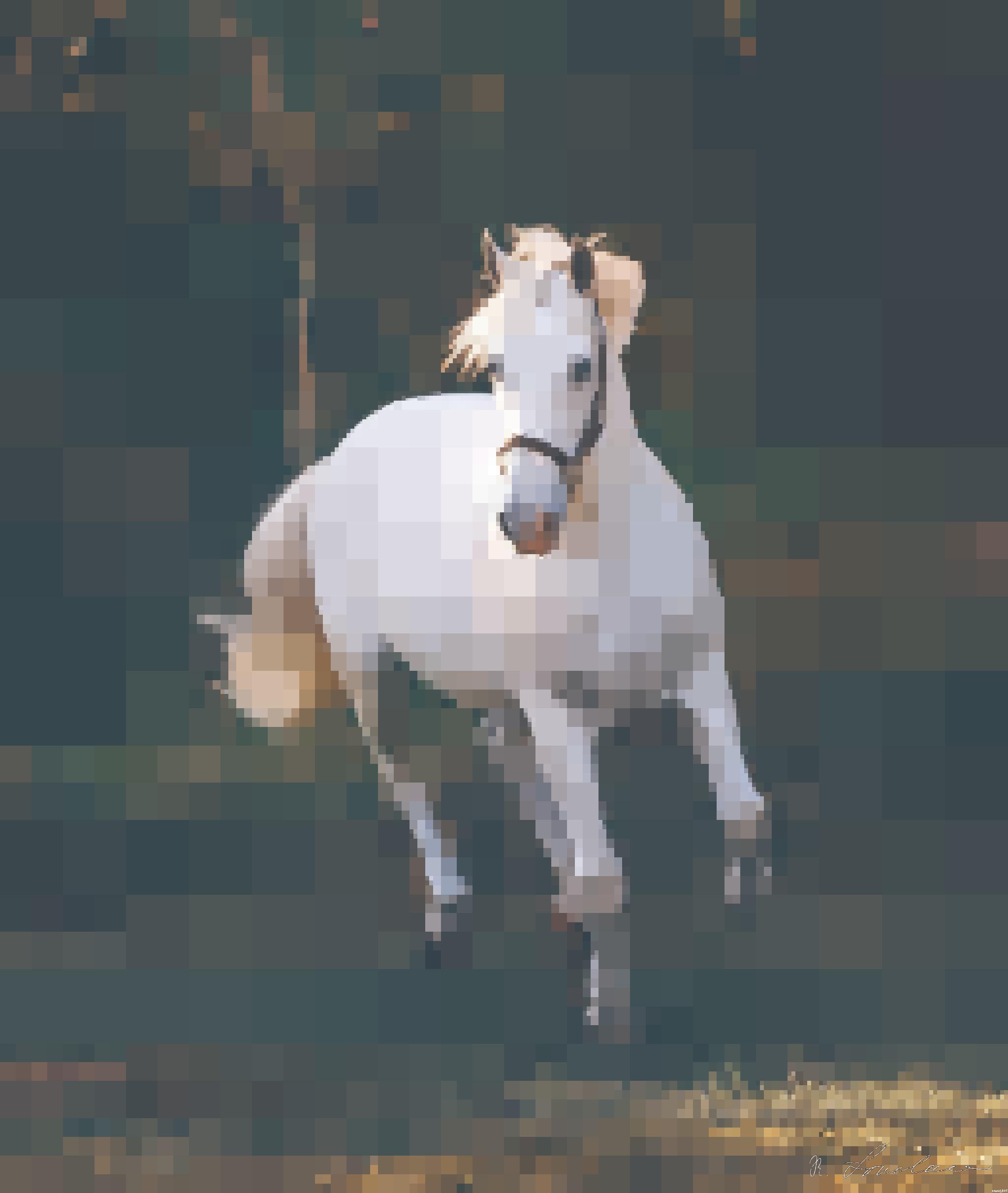 from CC0 photo AI Art