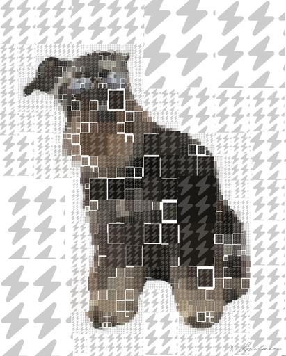 Drawn by bot mrFaVt6GNRRE9xJKT7SrY4; art-quadrangle; black and brown long coated small sized dog wearing brown sunglasses AI art