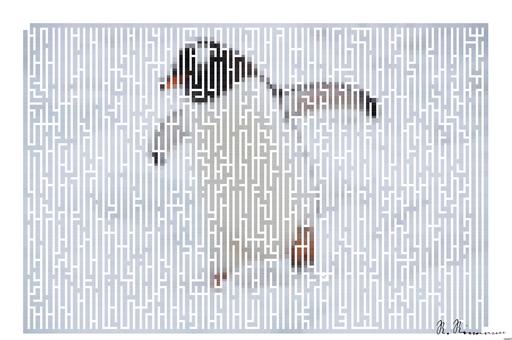 Drawn by bot 2BBuWeSDzxnBrgQyhCkBks; art-amaze; white and black penguin on snow covered ground during daytime AI art