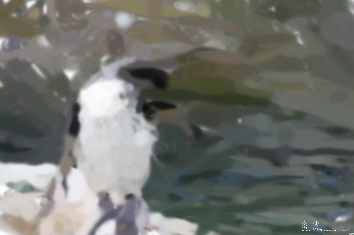 from CC0 photo AI Art