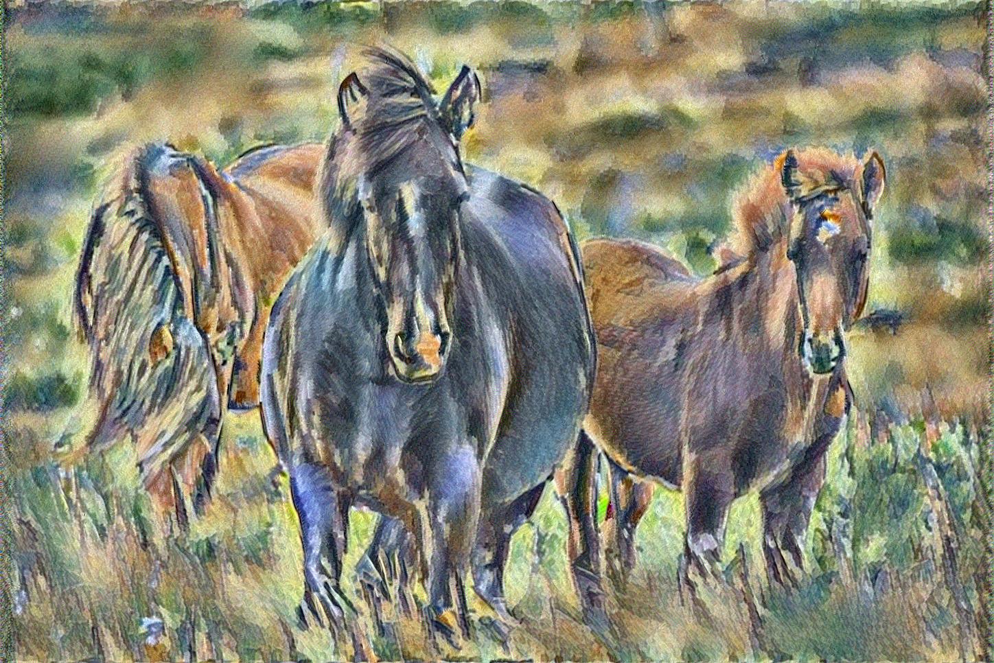 from CC0 photo AI Art