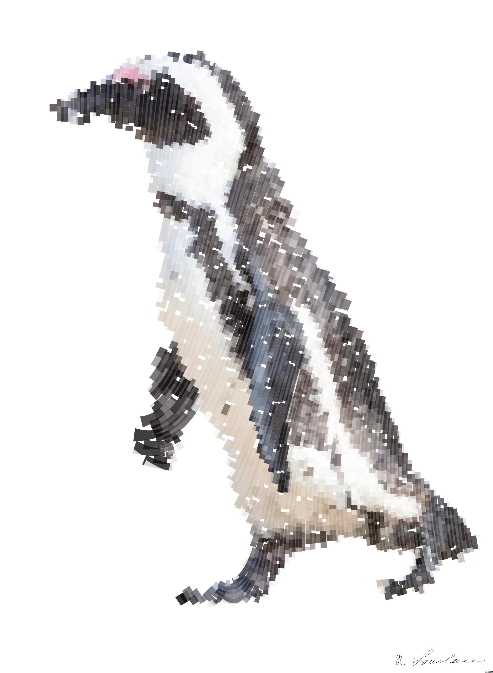 Drawn by bot XNSUhpiHtFqtVx4VwNiuRK; art-flowy; A solitary African penguin strolls along a sandy beach, showcasing its distinctive black and white feathers. AI Art
