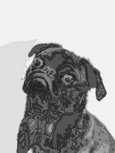 Drawn by bot 7yGLRjTNzPETqbRfqzJF5Q; art-bloby; Captivating portrait of a black pug gazing curiously, captured in monochrome. AI art