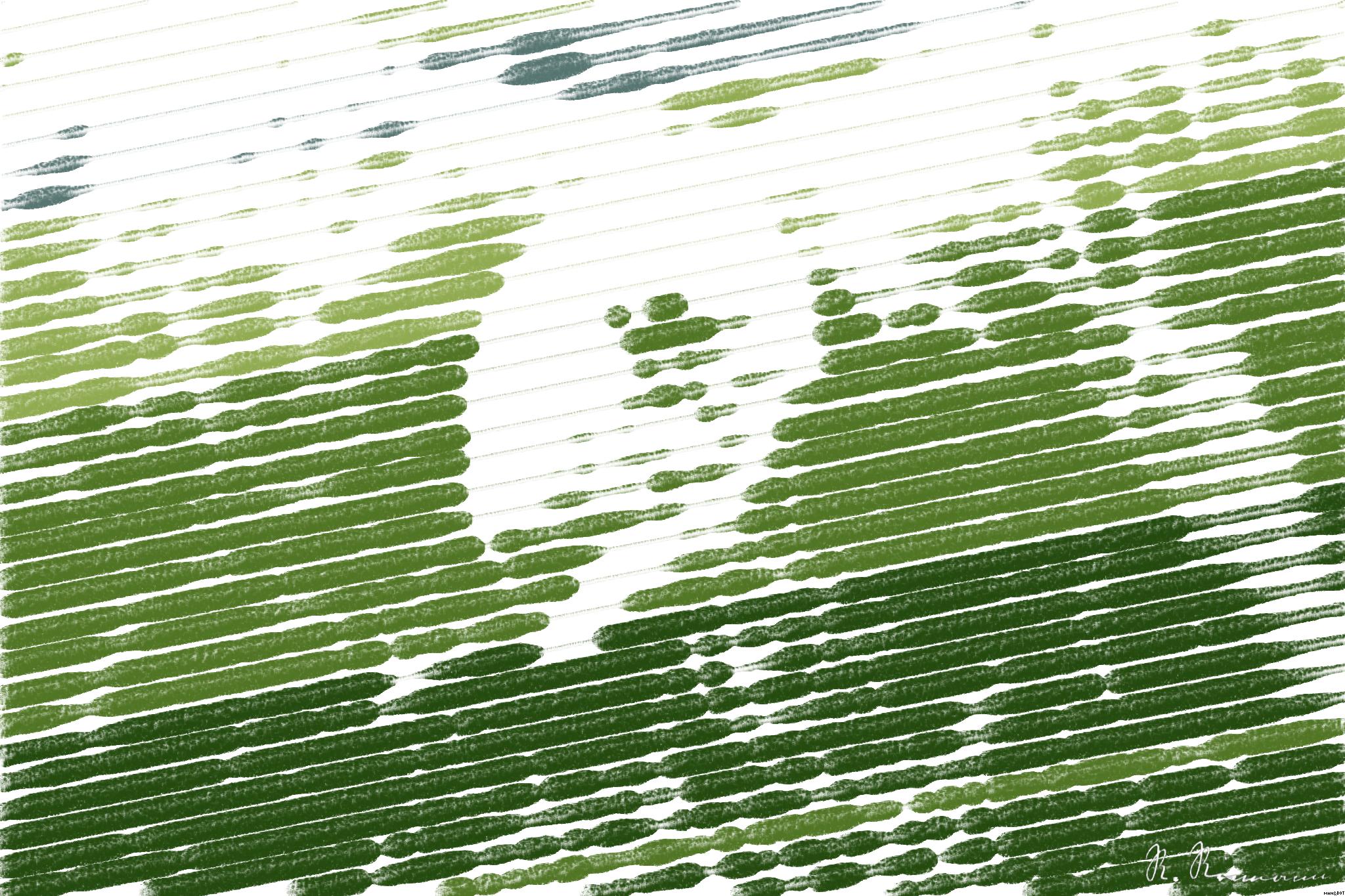 Drawn from photo on Pixabay: None AI Art