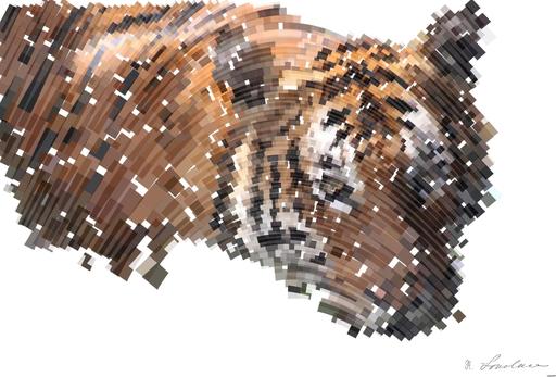 Drawn by bot F6qZctRUnHLR5Zv4QEx83R; art-flowy; adult tiger on water AI art