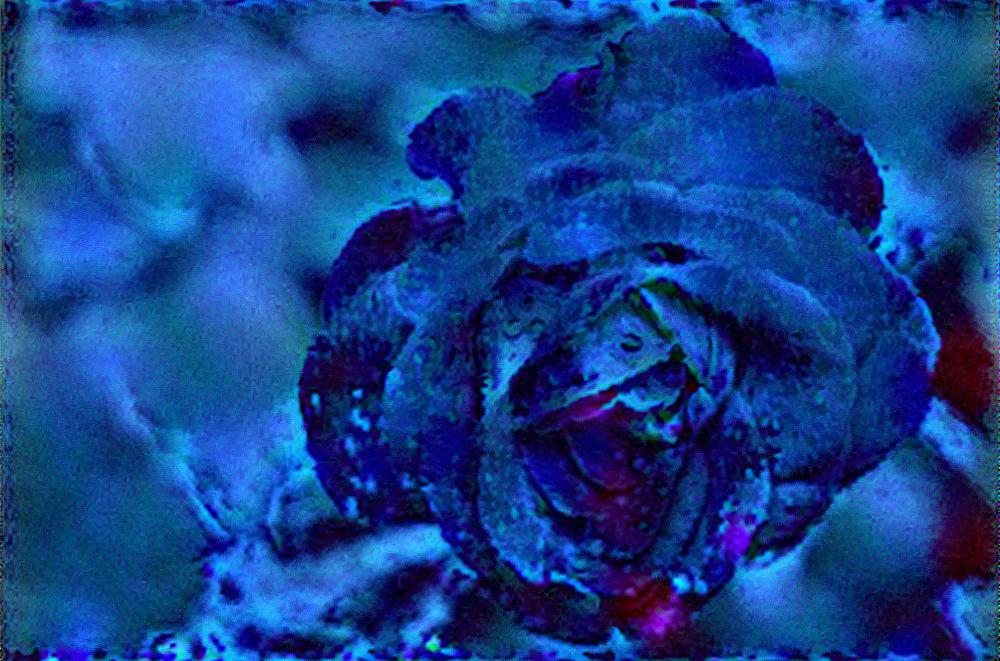 from CC0 photo AI Art