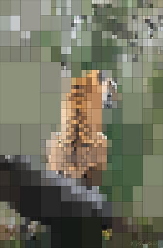 from CC0 photo AI art