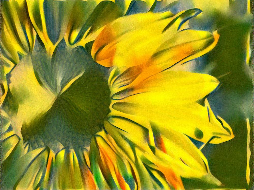 from CC0 photo AI Art