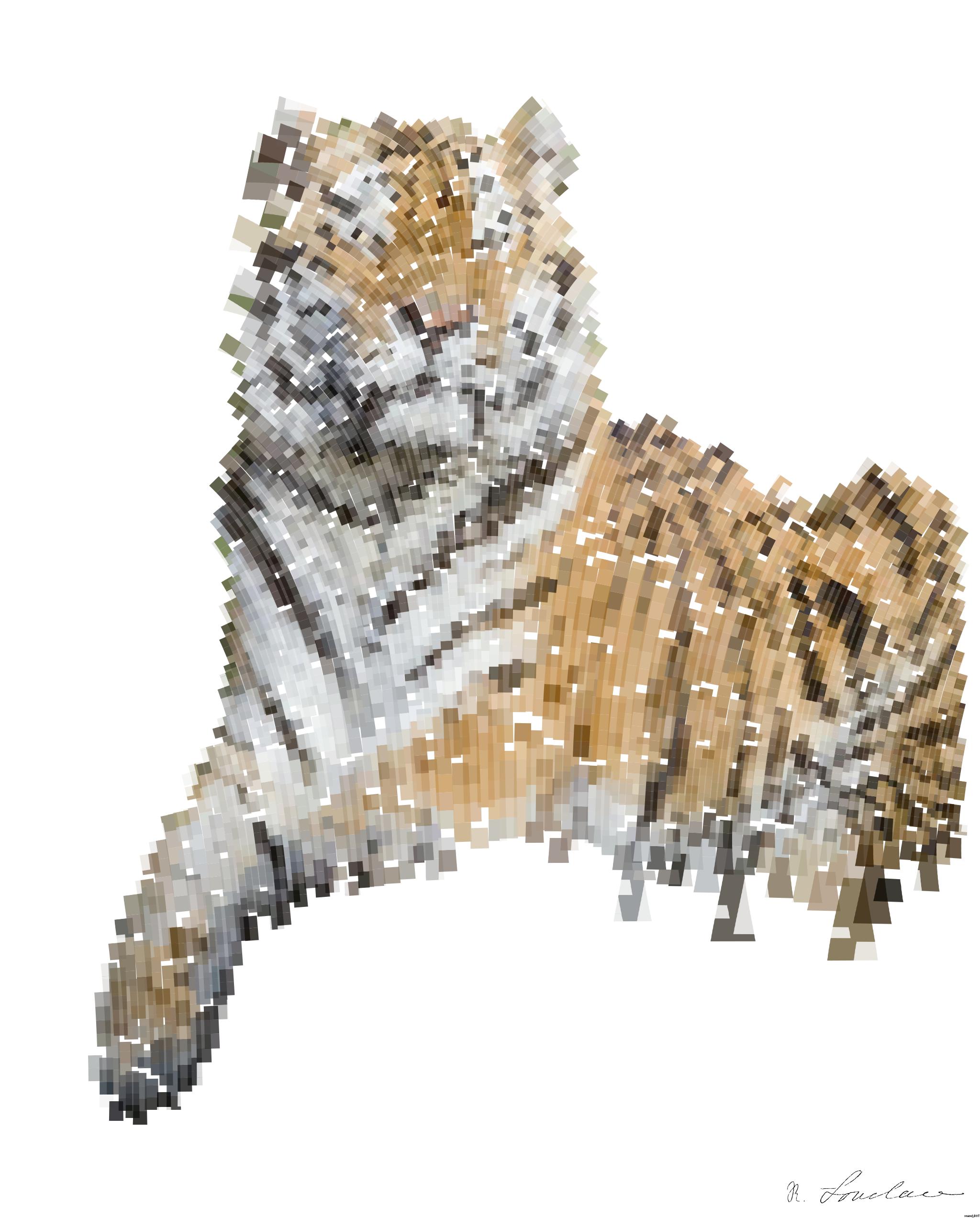 from CC0 photo AI Art