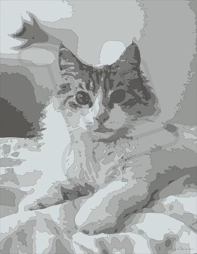 from CC0 photo AI art