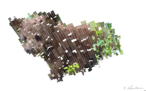 from CC0 photo AI art