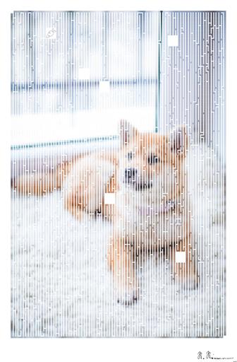 Drawn by bot 7bVvUBPRfdWDP3Dh9qeNSR; art-amaze; Cute Shiba Inu puppy resting on a soft white rug in a cozy indoor setting. AI art