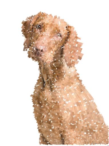 from CC0 photo AI art