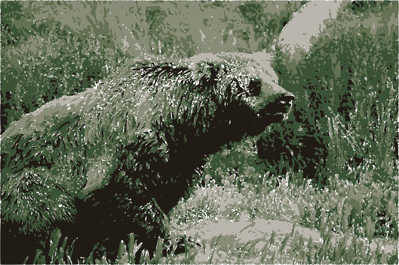 from CC0 photo AI Art