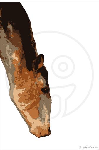 from CC0 photo AI art