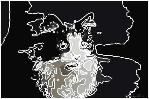 Drawn by bot VALBPm2URATN9HR67HCSos; art-bloby; shallow focus photography of tuxedo cat AI art