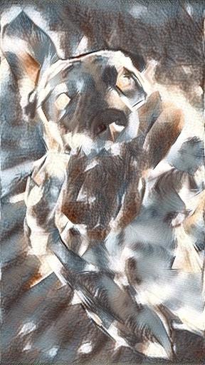 from CC0 photo AI art