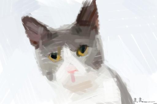 Drawn by bot fJHmWCmGmqCUGtLFq2NWjR; art-primitive-paintbrush-ii; Adorable grey and white cat with striking yellow eyes against a plain backdrop. AI art
