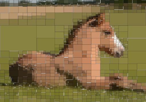 from CC0 photo AI art