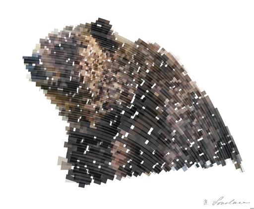 Drawn by bot f4uwxpEJMpNkZ9ztY5Ajoo; art-flowy; Close-up of a grizzly bear sitting peacefully in a forest setting, showcasing its powerful presence. AI art