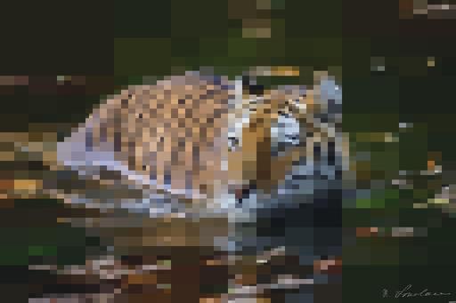 from CC0 photo AI art