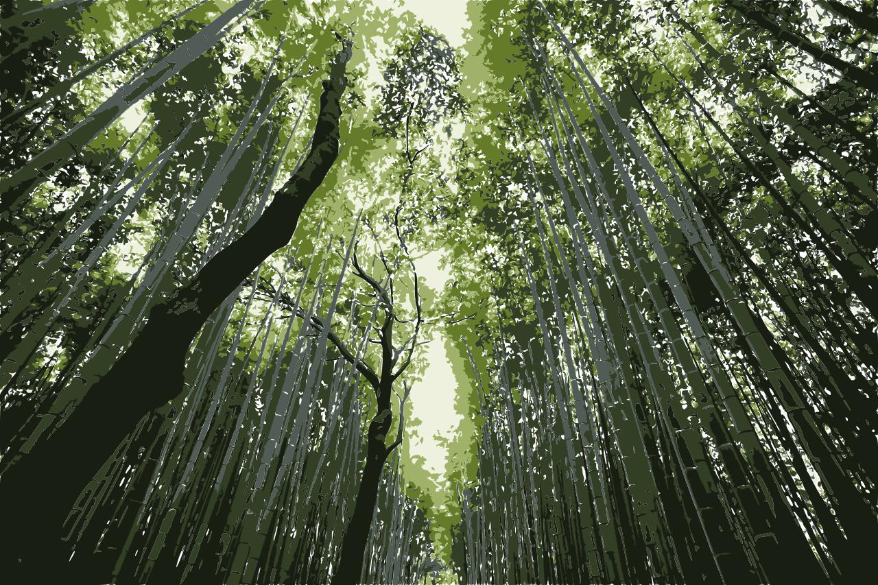 from CC0 photo AI Art