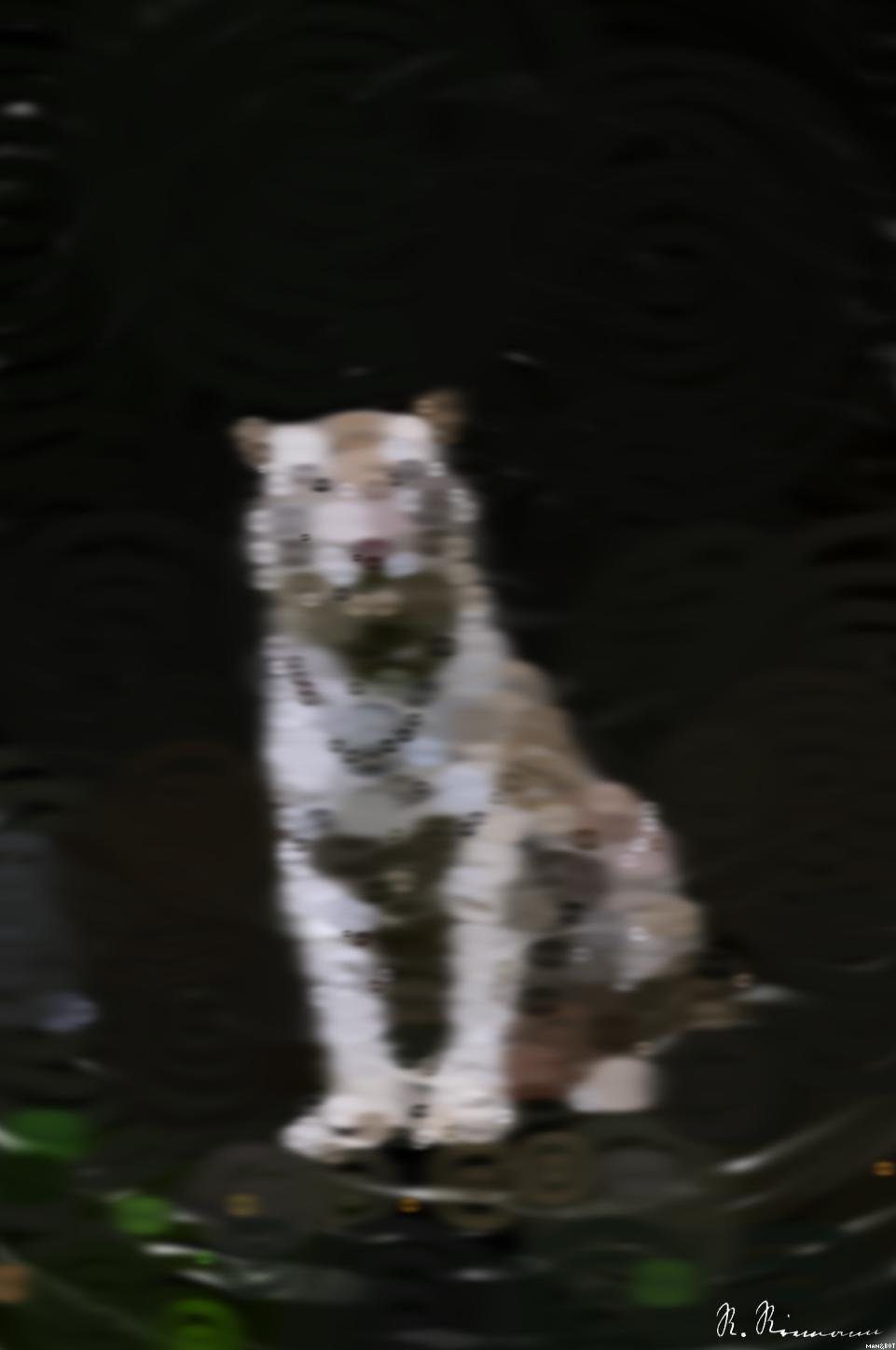 from CC0 photo AI Art