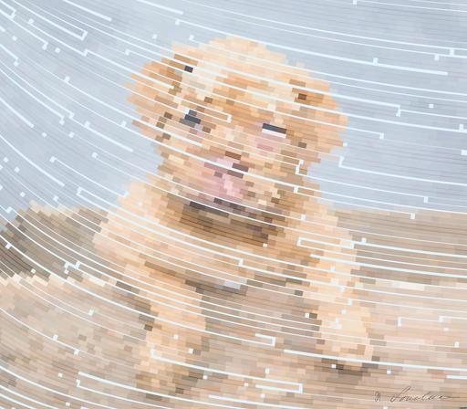 from CC0 photo AI art