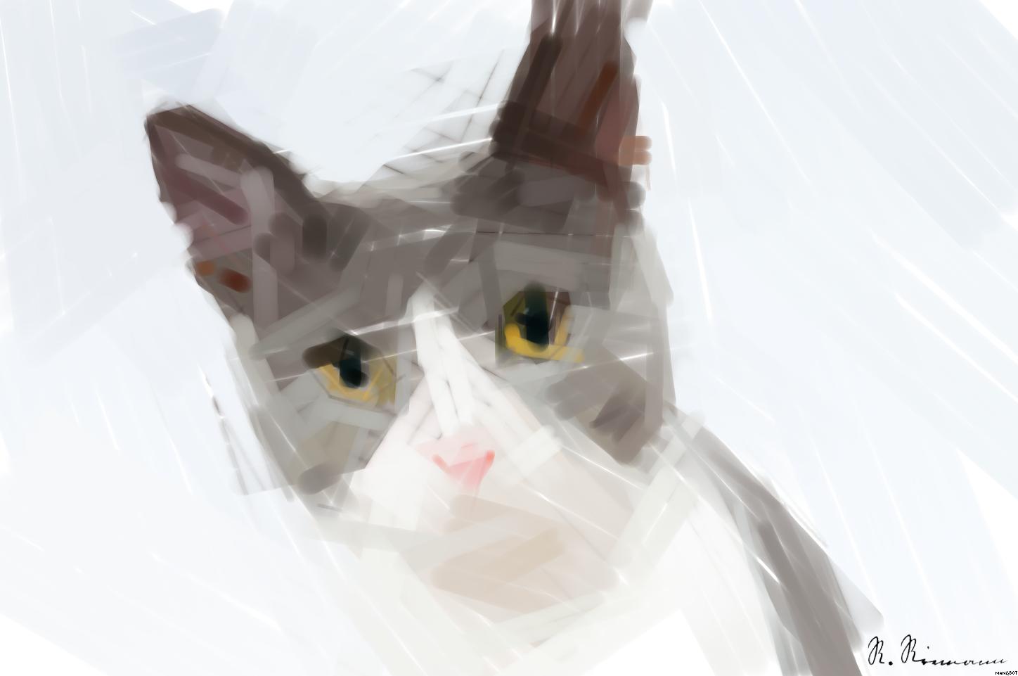 Drawn by bot H9PC75wRbPgXBDaN3gPbwZ; art-primitive-paintbrush-ii; Adorable grey and white cat with striking yellow eyes against a plain backdrop. AI Art