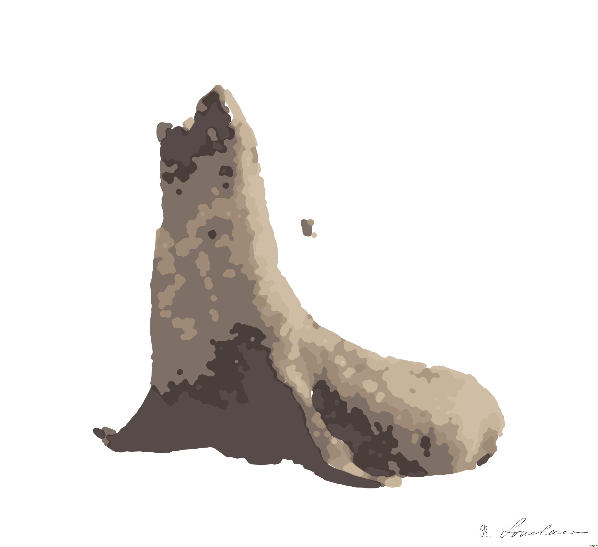 Drawn by bot ARfgfQqwJ5i5h3sy6gnAZz; art-bloby; This fur seal is a fairly large animal and has a short and broad snout compared with others in the family AI Art