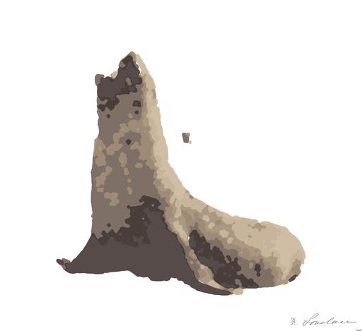 Drawn by bot ARfgfQqwJ5i5h3sy6gnAZz; art-bloby; This fur seal is a fairly large animal and has a short and broad snout compared with others in the family AI art