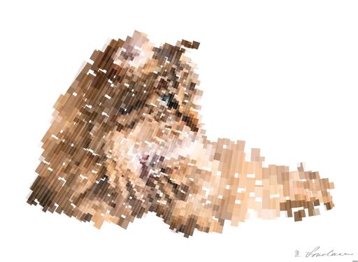 from CC0 photo AI art