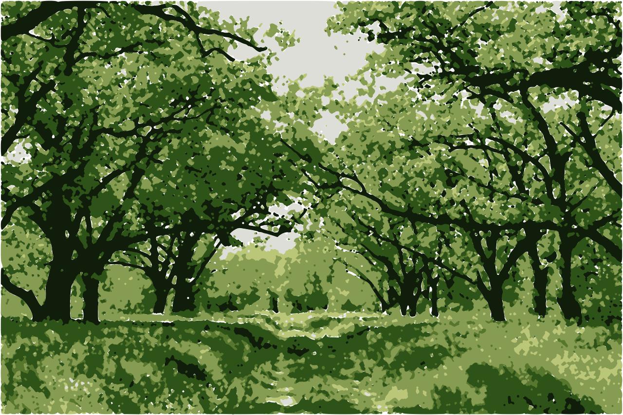 from CC0 photo AI Art