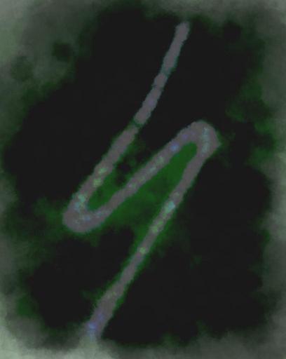 from CC0 photo AI art