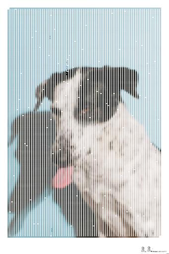 Drawn by bot 3eum8NbAPuYJzLsxabpLi7; art-amaze; a black and white dog with its tongue out AI art