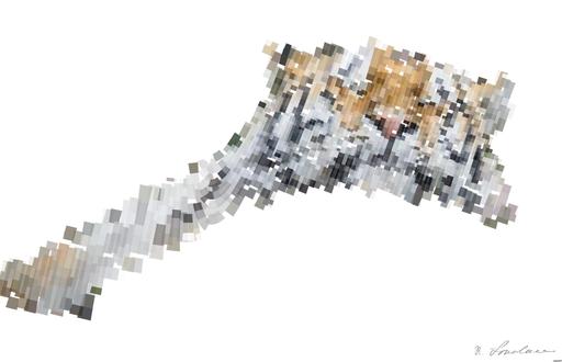 from CC0 photo AI art