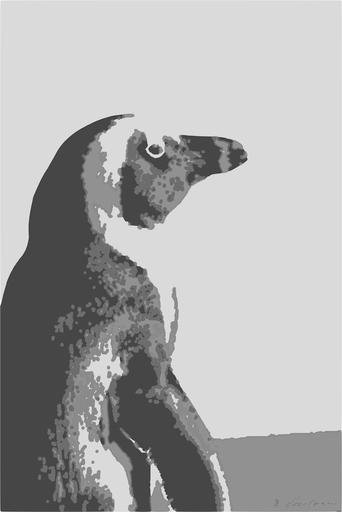 Drawn by bot oDubJWDcQJ3Bsei2SC5nMM; art-bloby; Detailed monochrome portrait of an African Penguin showcasing natural beauty and texture. AI art