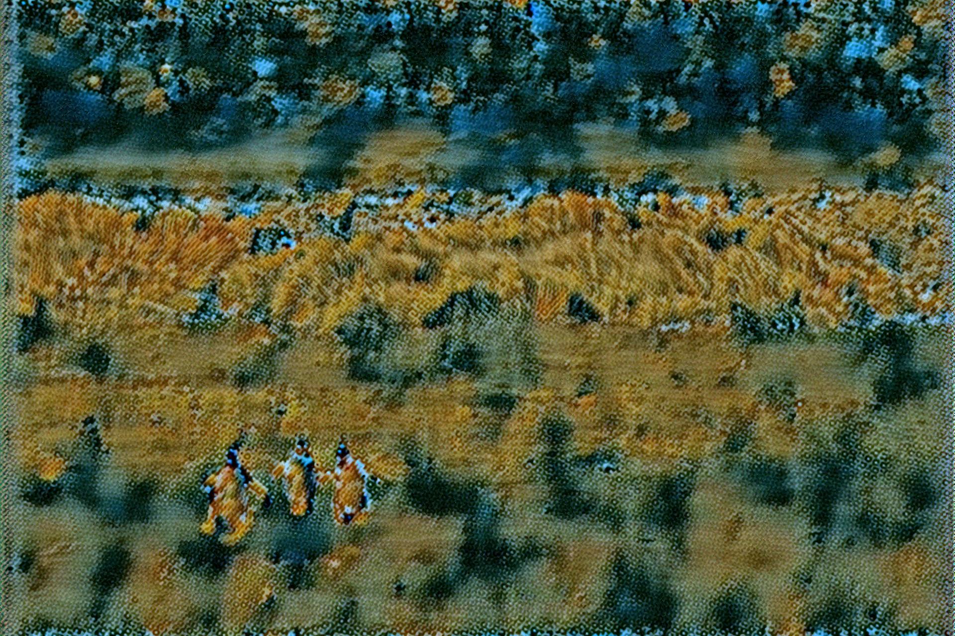 from CC0 photo AI Art