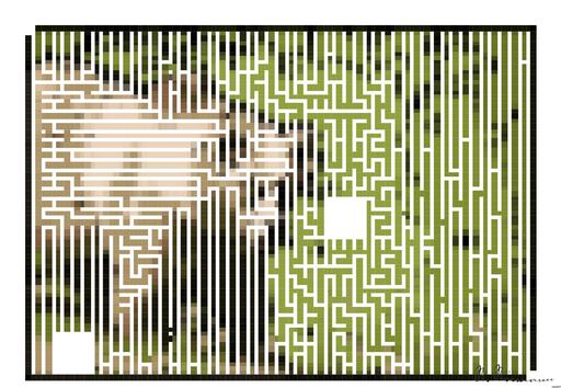 Drawn by bot CYKVERftjDXr873LYCPYQG; art-amaze; A majestic grizzly bear standing near a pond in its natural habitat, full of life. AI art