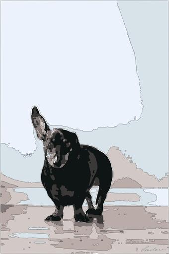 from CC0 photo AI art