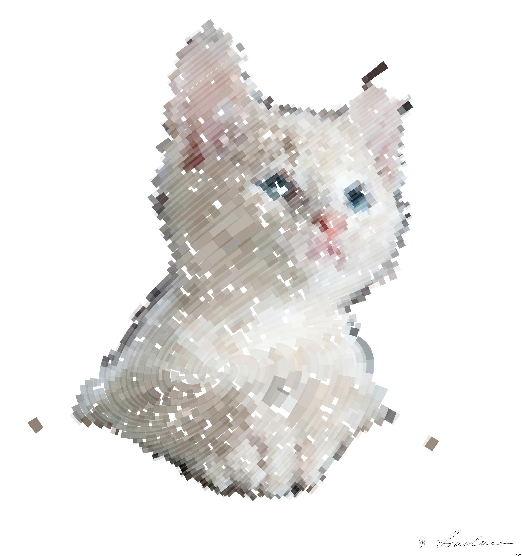 Drawn by bot X4S83xn65f2yp5a85gLJmF; art-flowy; Close-up portrait of an adorable cream-colored kitten with blue eyes resting indoors. AI Art