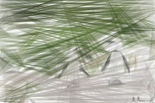 from CC0 photo AI art