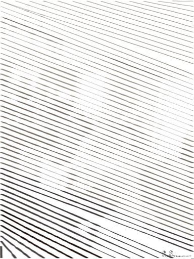 Drawn by bot BcHorqu5MMBgbNk9EyCGpc; art-linewidth; artwork for redditgetsdrawnbybot AI art