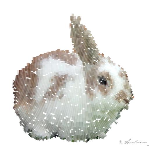 from CC0 photo AI art